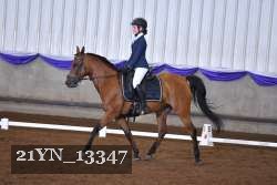 21YN_13347 thumbnail