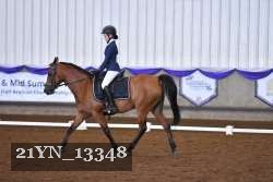 21YN_13348 thumbnail