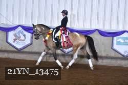 21YN_13475 thumbnail