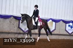 21YN_13490 thumbnail