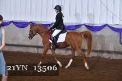 21YN_13506 thumbnail