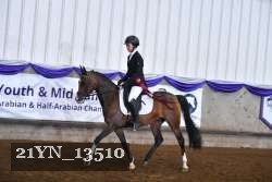 21YN_13510 thumbnail