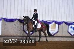 21YN_13520 thumbnail