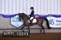 21YN_13523 thumbnail
