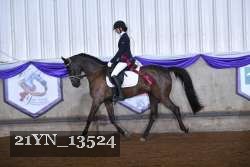 21YN_13524 thumbnail