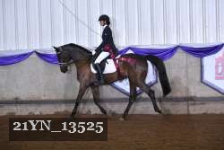 21YN_13525 thumbnail