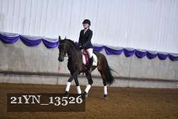 21YN_13526 thumbnail