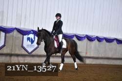 21YN_13527 thumbnail