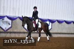 21YN_13528 thumbnail