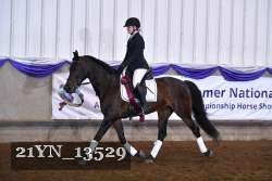 21YN_13529 thumbnail