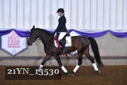 21YN_13530 thumbnail