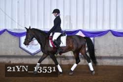 21YN_13531 thumbnail