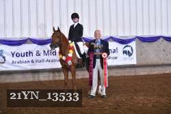 21YN_13533 thumbnail