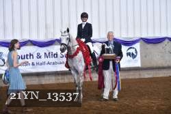 21YN_13537 thumbnail