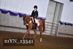 21YN_13541 thumbnail
