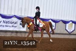 21YN_13542 thumbnail