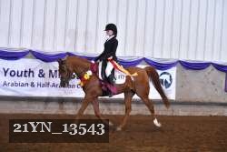 21YN_13543 thumbnail