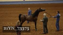 21YN_73375 thumbnail