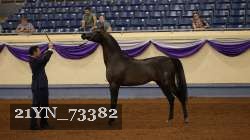 21YN_73382 thumbnail