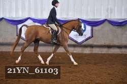 21YN_61103 thumbnail