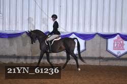 21YN_61236 thumbnail