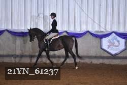 21YN_61237 thumbnail