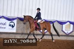 21YN_70808 thumbnail