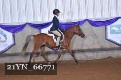 21YN_66771 thumbnail