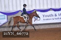 21YN_66772 thumbnail