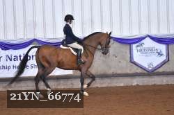 21YN_66774 thumbnail