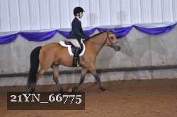 21YN_66775 thumbnail