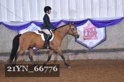 21YN_66776 thumbnail