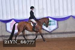 21YN_66777 thumbnail