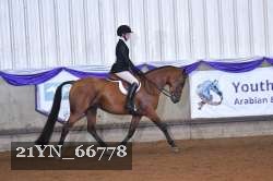 21YN_66778 thumbnail