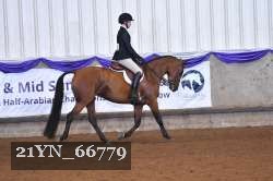 21YN_66779 thumbnail