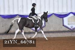 21YN_66781 thumbnail
