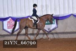 21YN_66790 thumbnail