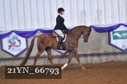 21YN_66793 thumbnail