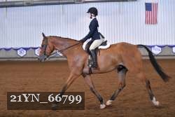 21YN_66799 thumbnail