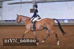 21YN_66800 thumbnail