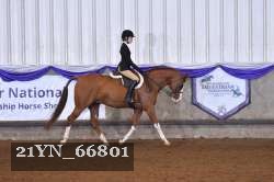 21YN_66801 thumbnail