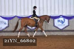 21YN_66802 thumbnail