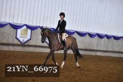 21YN_66975 thumbnail