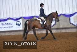21YN_67018 thumbnail