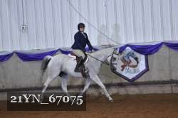 21YN_67075 thumbnail