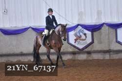 21YN_67137 thumbnail