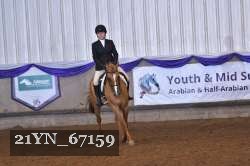 21YN_67159 thumbnail