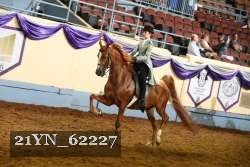 21YN_62227 thumbnail