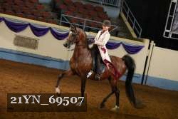 21YN_69507 thumbnail