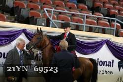 21YN_69523 thumbnail